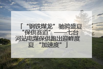 “钢铁煤龙”驰骋盛夏 “保供赛道”——七台河站电煤保供跑出迎峰度夏 “加速度”